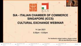 Webinar